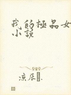我的极品女老师小说