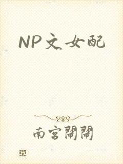 NP文女配