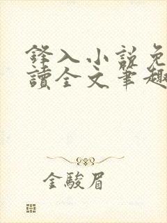 锋入小说免费阅读全文笔趣阁