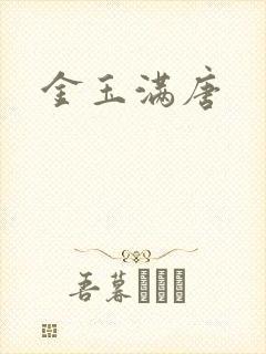 金玉满唐封面