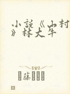 小说《山村情事》林大牛