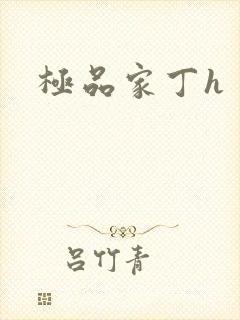 极品家丁h