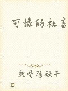 可怜的社畜小说封面