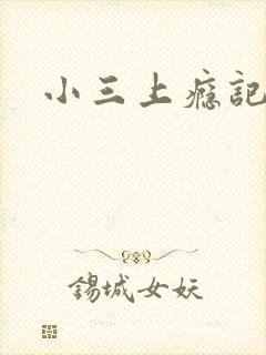 小三上瘾记封面