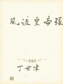 风流皇帝张无忌封面