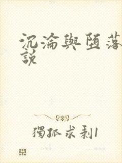 沉沦与堕落的小说