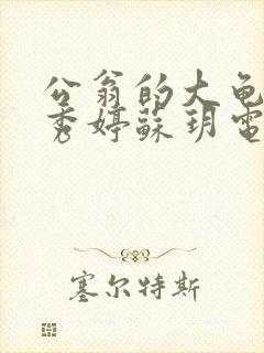 公翁的大龟挺进秀婷苏玥电影封面