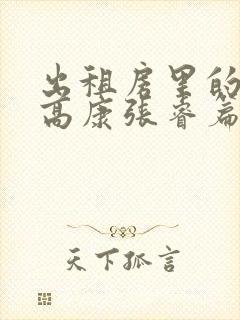 出租房里的交互高康张睿篇