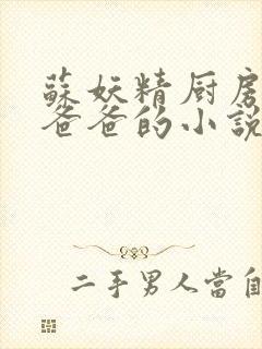 苏妖精厨房爹爹爸爸的小说