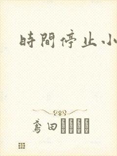 时间停止小说