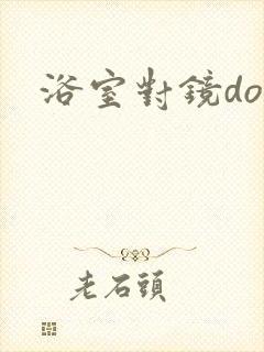 浴室对镜doi封面