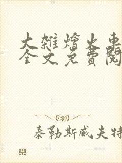 大杂烩火车小说全文免费阅读封面