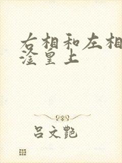 右相和左相一起淦皇上