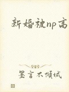 新婚被np高h