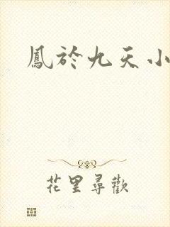 凤于九天小说