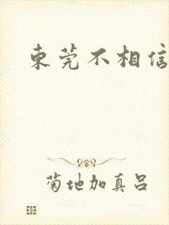 东莞不相信眼泪封面