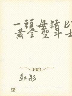 一头母猪 BY 黄金圣斗士封面