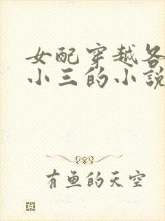 女配穿越各个做小三的小说