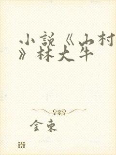 小说《山村情事》林大牛