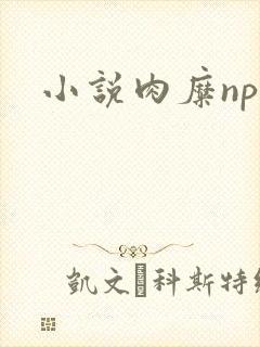 小说肉糜np