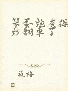 笨蛋炮灰总被爆炒翻车了