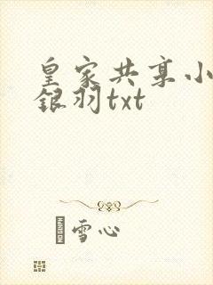 皇家共享小公主银羽txt封面