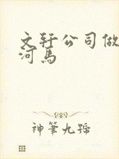 文轩公司做扩张河马