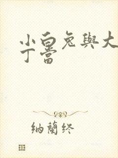 小白兔与大灰狼丁当