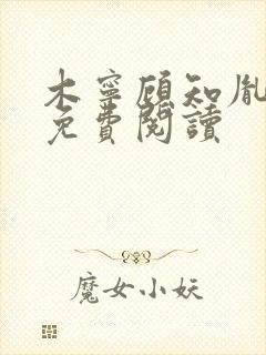 木宁顾知胤小说免费阅读