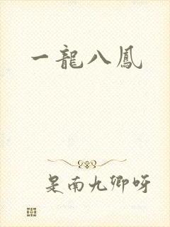 一龙八凤封面