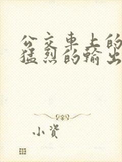 公交车上的诗请猛烈的输出阅读