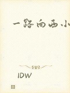 一路向西小说