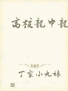 高校龙中龙