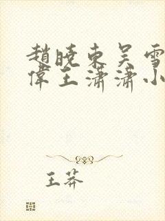 赵晓东吴雪晴郑伟王潇潇小说名字