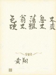 色翁荡息又大又硬又粗又爽