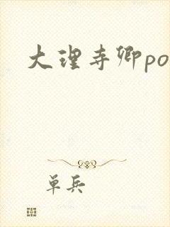 大理寺卿po封面