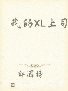 我的XL上司