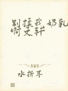 别揉我奶乳嗯～啊文轩封面