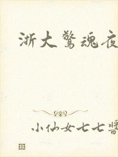 浙大惊魂夜封面