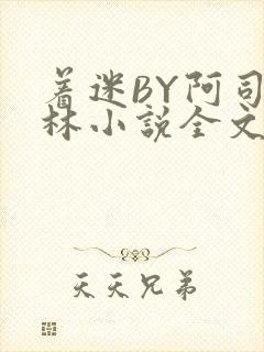 着迷BY阿司匹林小说全文免费阅读