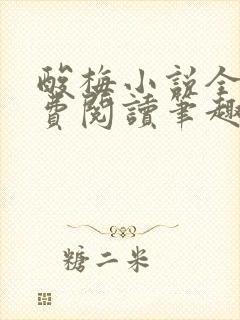 酸梅小说全文免费阅读笔趣阁