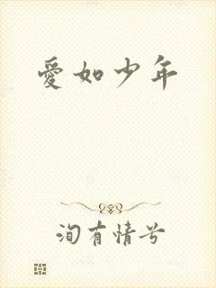 爱如少年