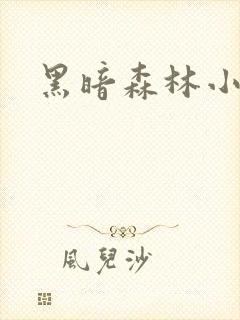 黑暗森林小说
