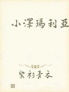 小泽玛利亚作品封面