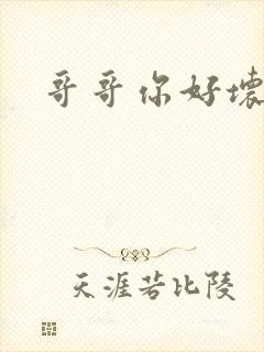 哥哥你好坏封面