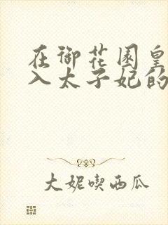 在御花园皇上进入太子妃的小说