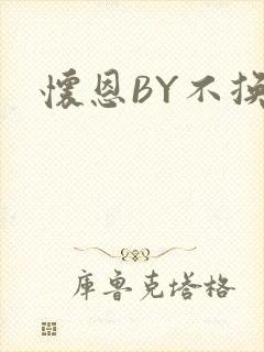 怀恩BY不换