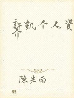 许凯个人资料简介