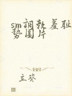 sm调教羞耻姿势图片