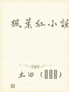 枫叶红小说
